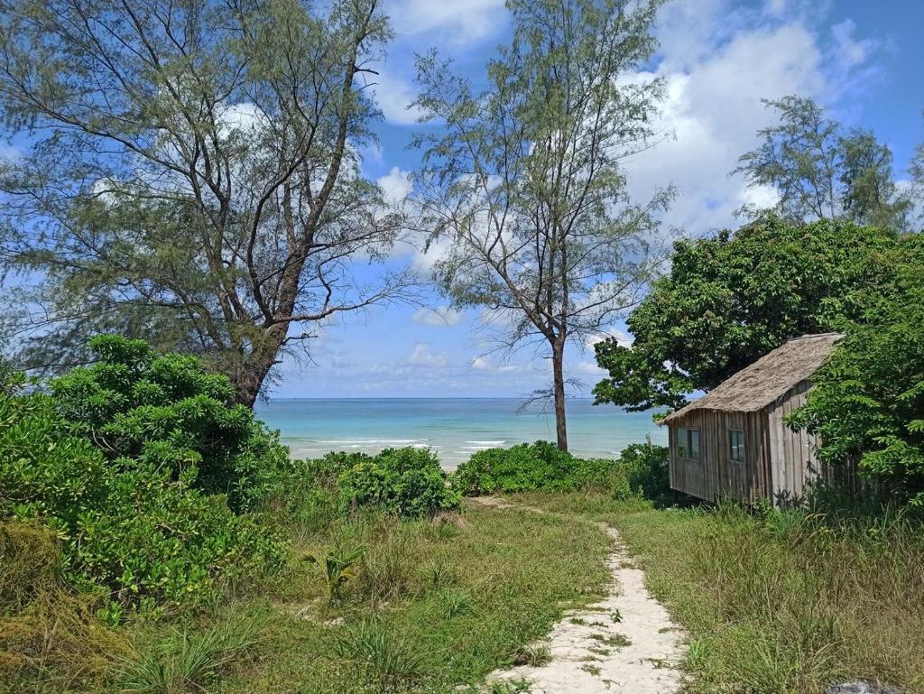 Lazy Beach photo 4