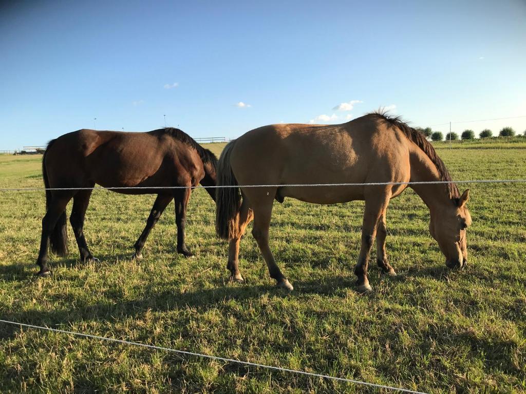Glamping och Gårdslägenhet Mellan himmel och hav photo 3