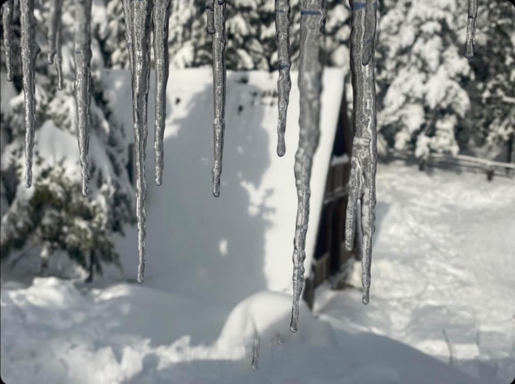 Vikendica Tarsko srce S photo 4