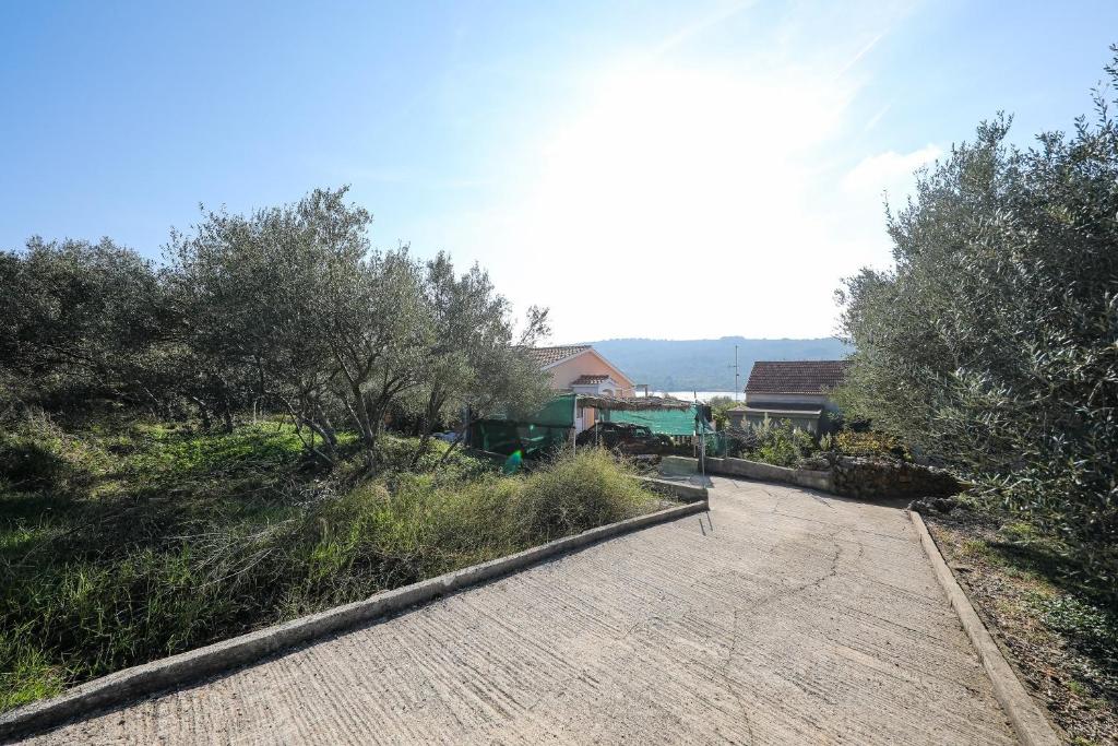Apartments Tara - 70 m from beach photo 1