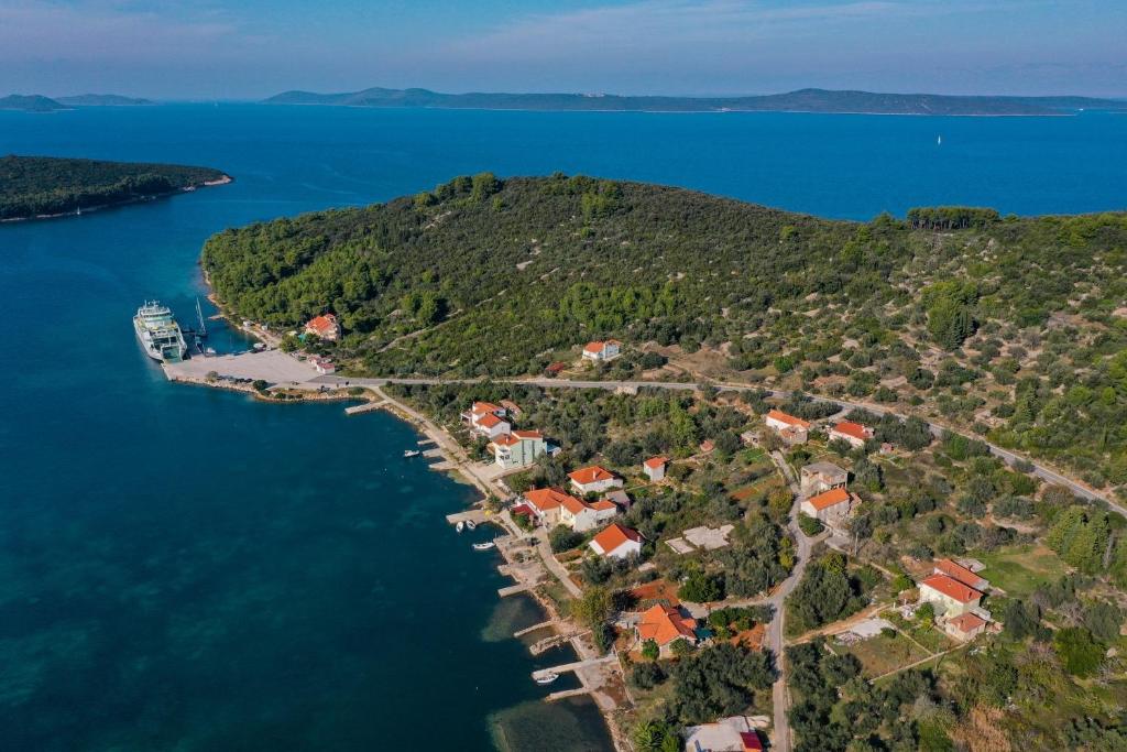 Apartments Tara - 70 m from beach photo 3