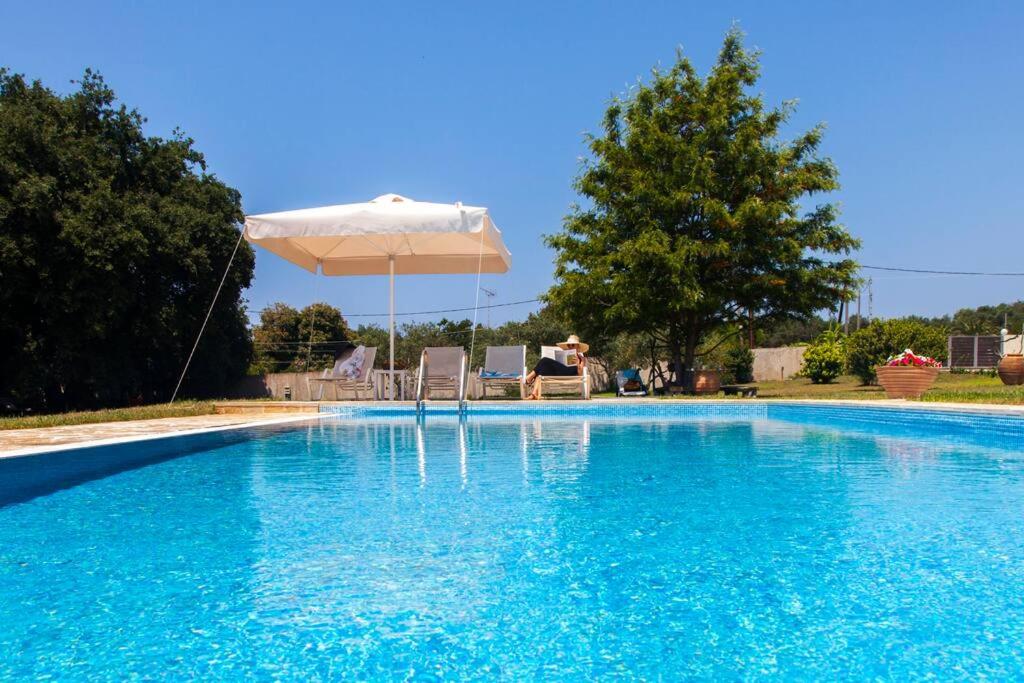 Villa Gaia photo 2