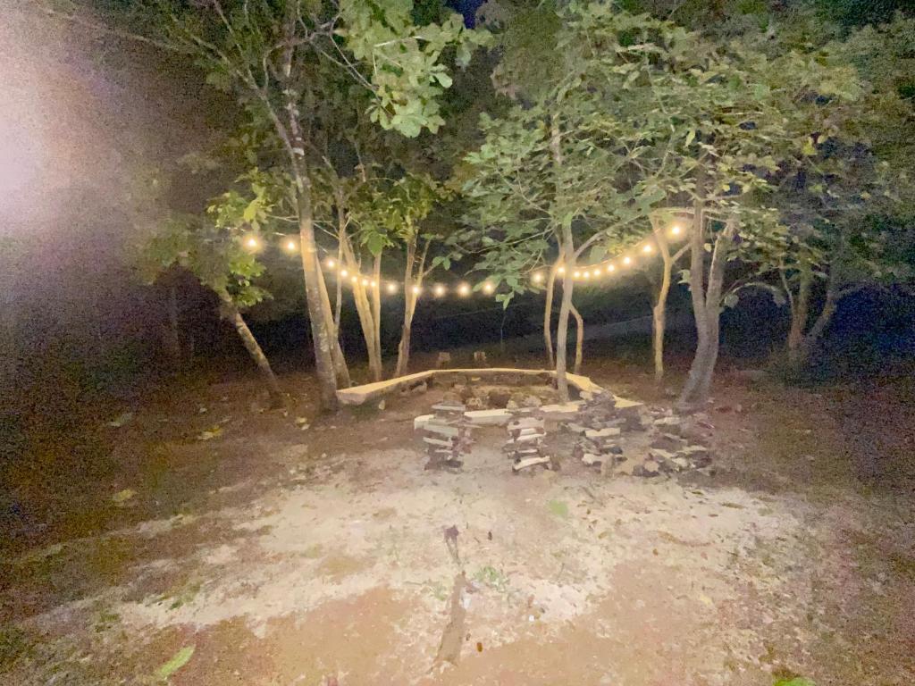 Finca Avellanas photo 1