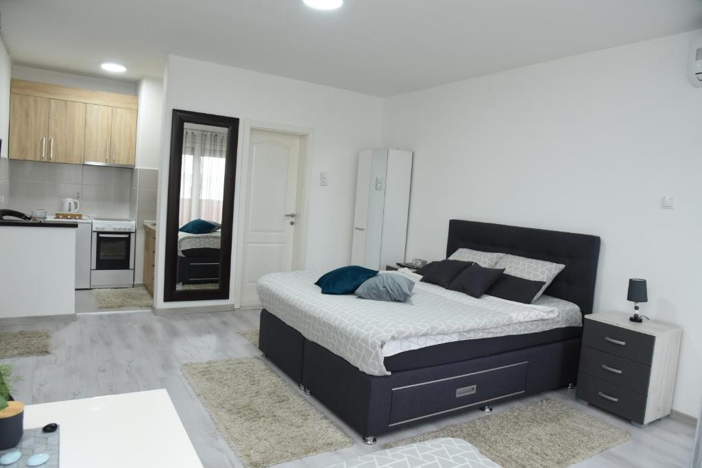 Apartmani Sofronic Loznica 2 photo 2