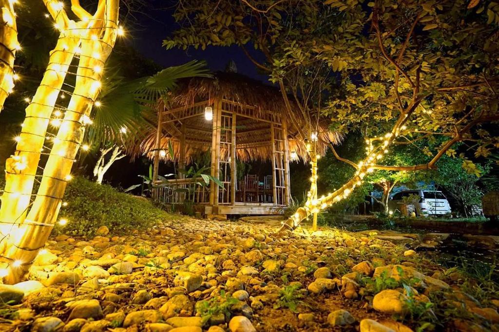 Hoa Mai Viên Sóc Sơn - Venue Travel