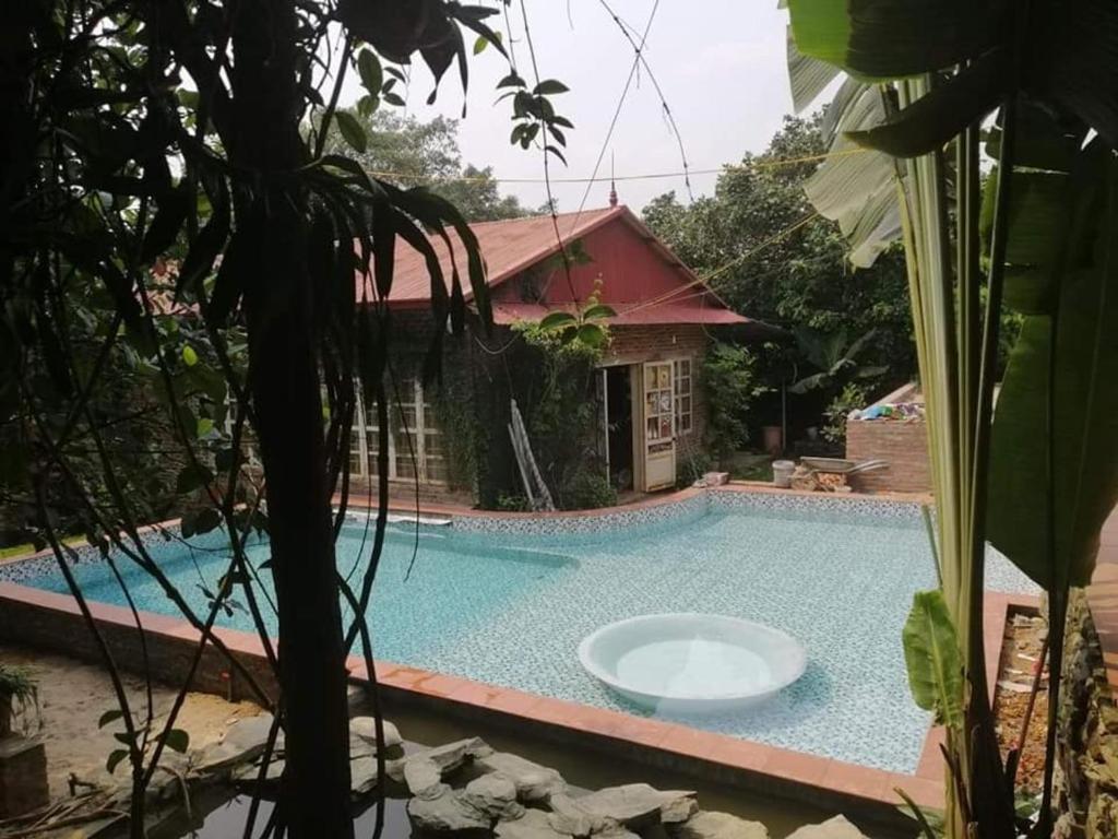 Hoa Mai Viên Sóc Sơn - Venue Travel