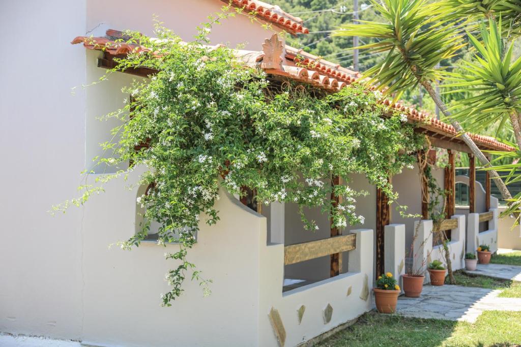 Villa Amy photo 2