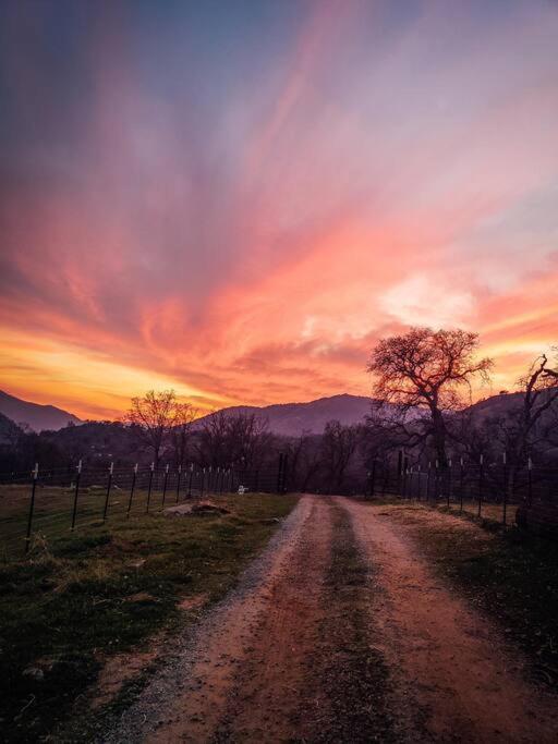 Matanah Meadows Farm, Great for 2 Families, Sequoia National Park and Working Farm photo 4