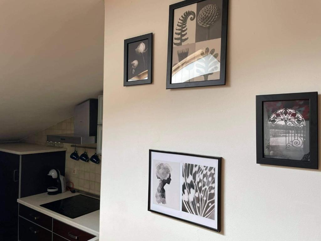 Apartament Studio Nałęczów photo 3