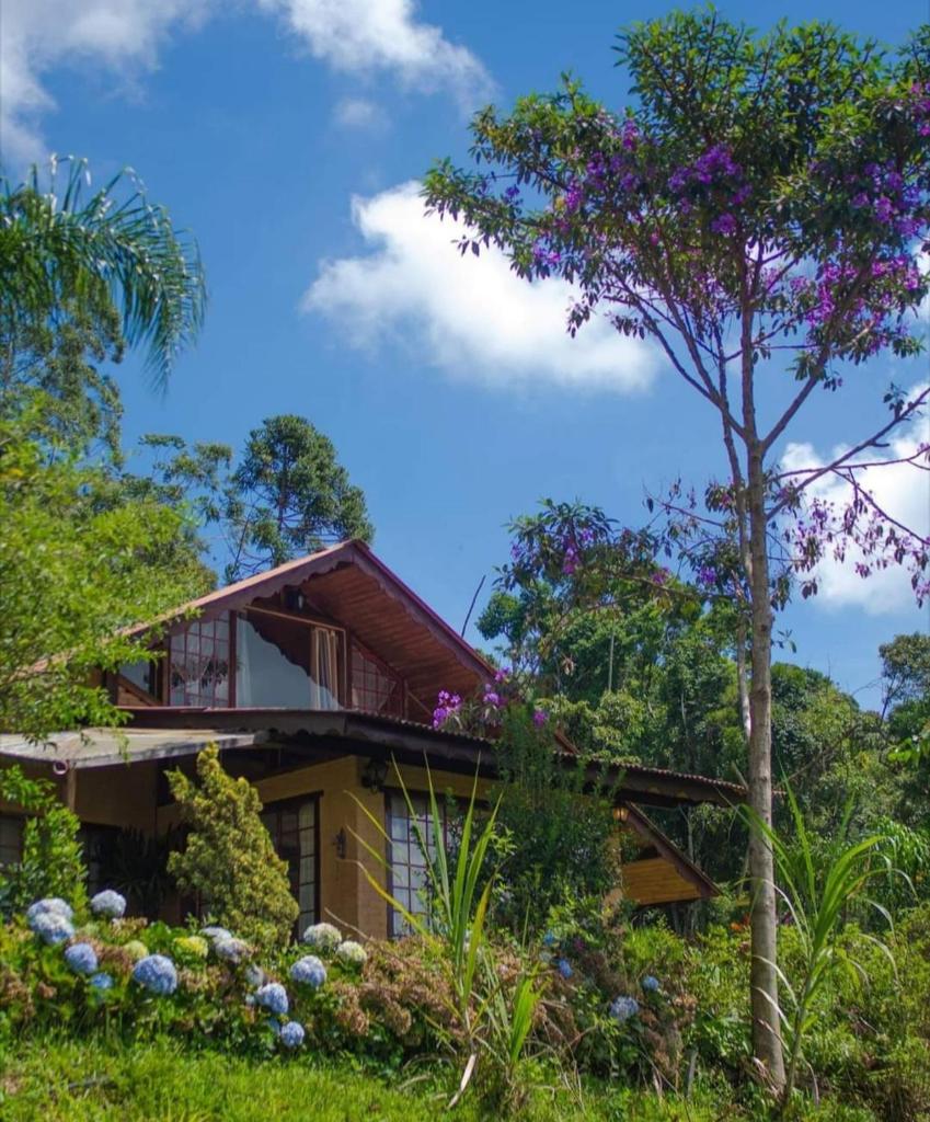Chalé Pakere Montanha Lumiar - Conforto a mais de 1000 metros de altitude junto a natureza, lareira, wifi, piscina, sauna e água de nascente