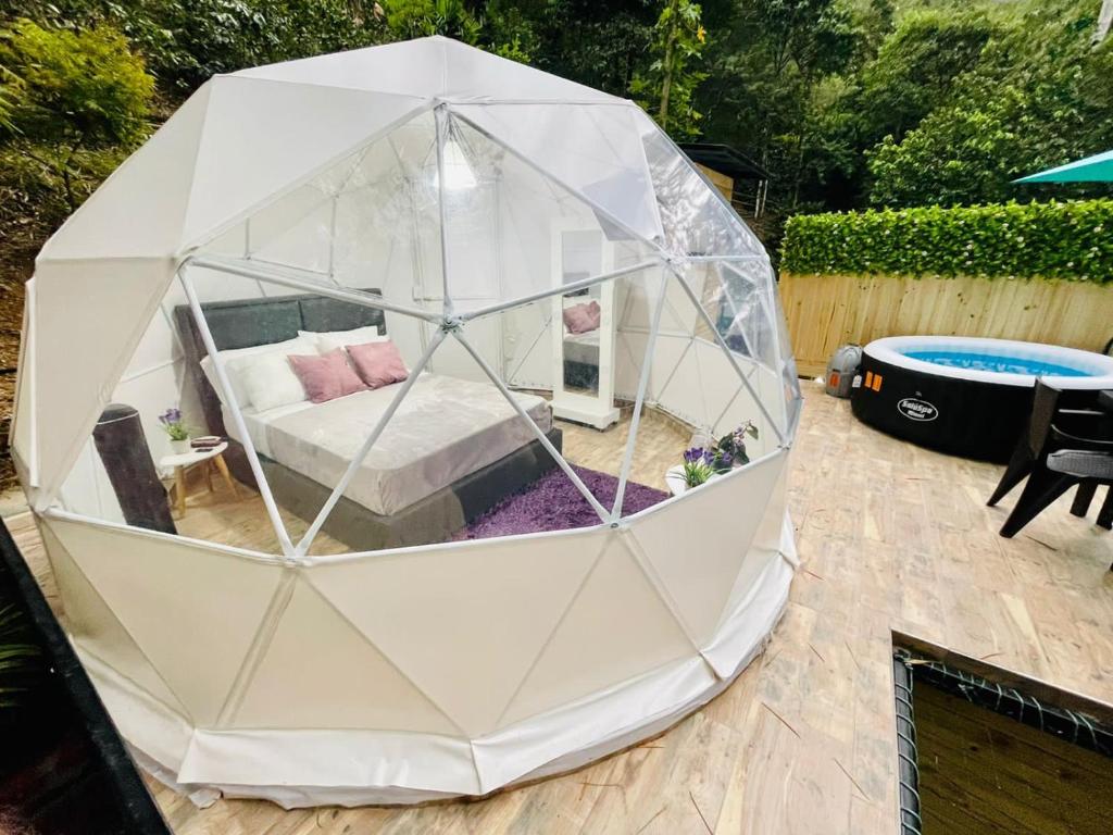 Glamping La Cabanita Santuario photo 1