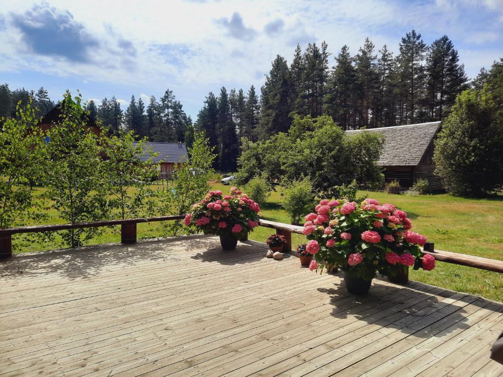 Purgaiļi photo 1
