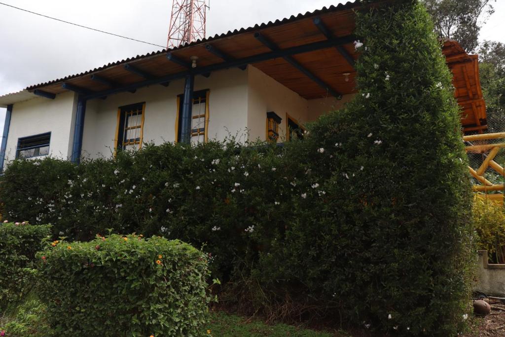 Chalet en Granja Campo Hermoso photo 4
