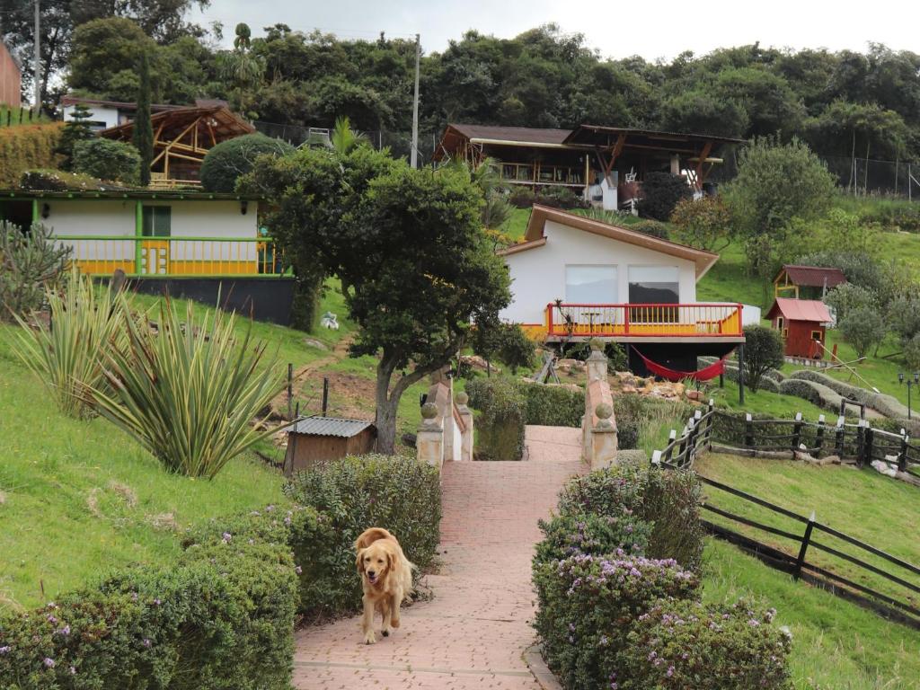 Chalet en Granja Campo Hermoso photo 2