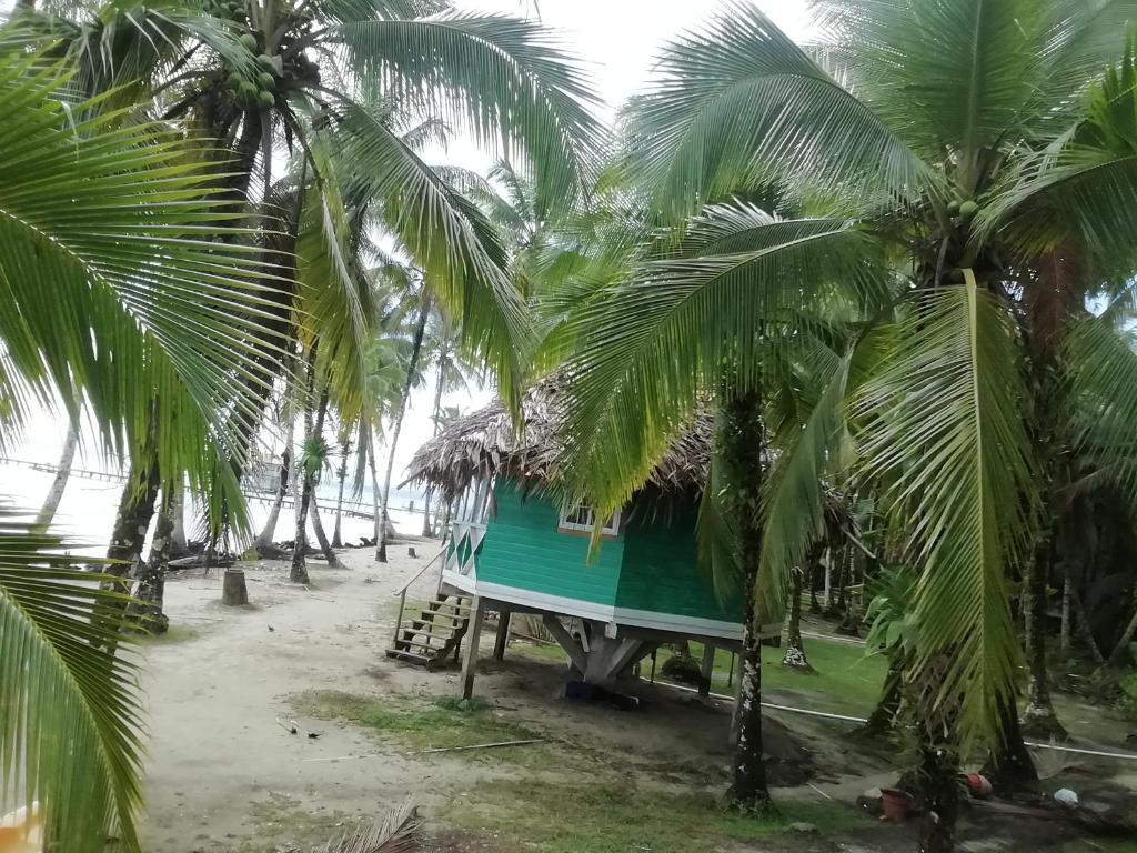 Buccaneer Resort photo 1