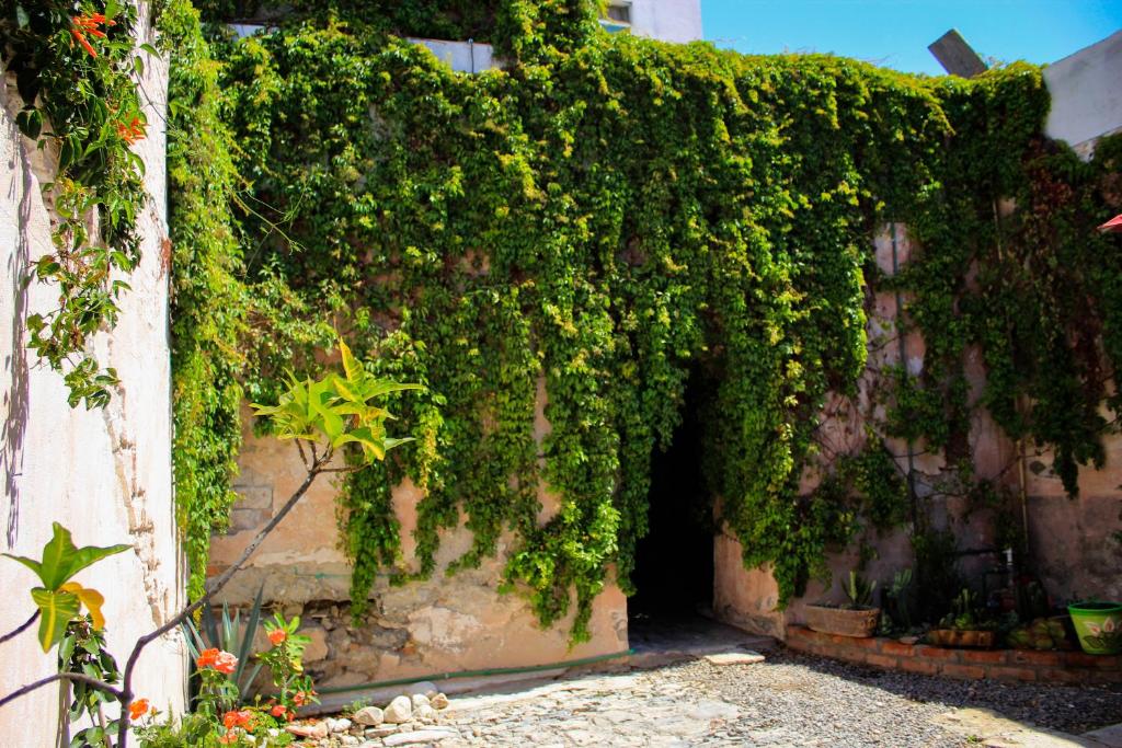 Hotel Boutique Don Porfirio photo 4