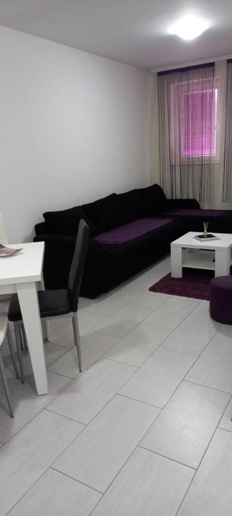 Arija Apartman Banja Vrujci photo 3