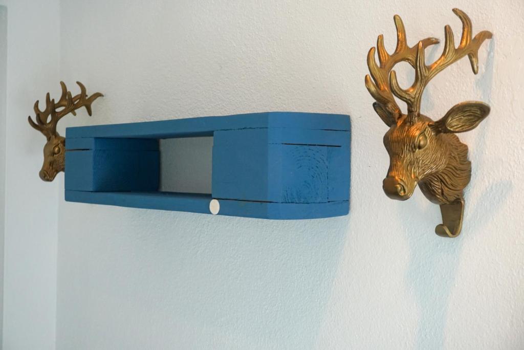 AlpseeGrünten - die Ferienwohnung photo 4