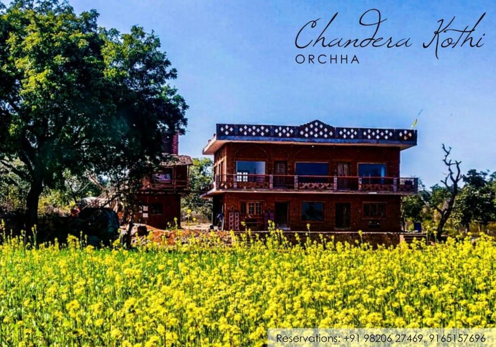 Chandera Kothi photo 1