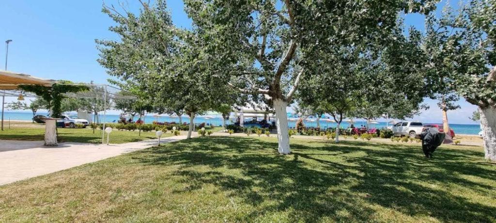 La Plage BeachFront Luxury Living photo 3