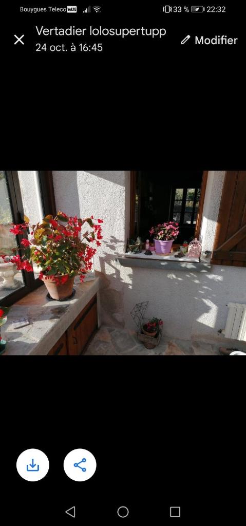 Sam Bott photo 3