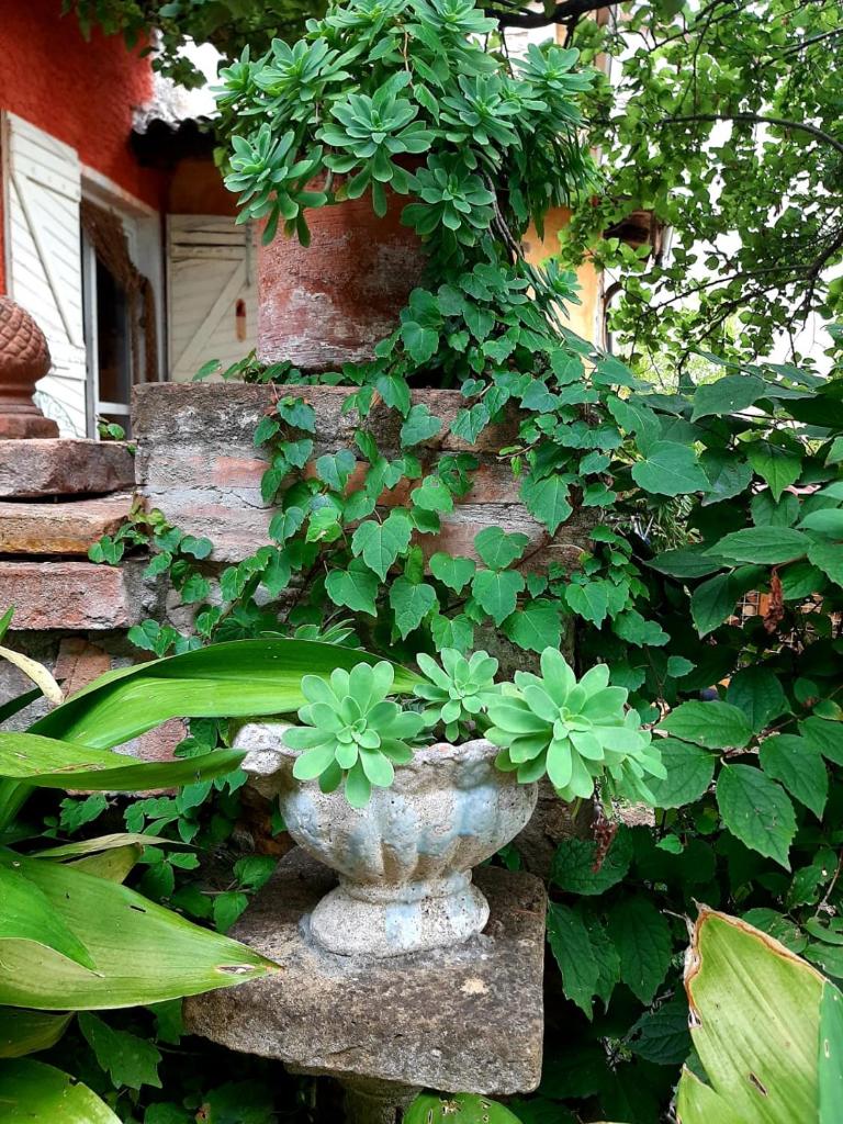 Casa Morelli photo 1