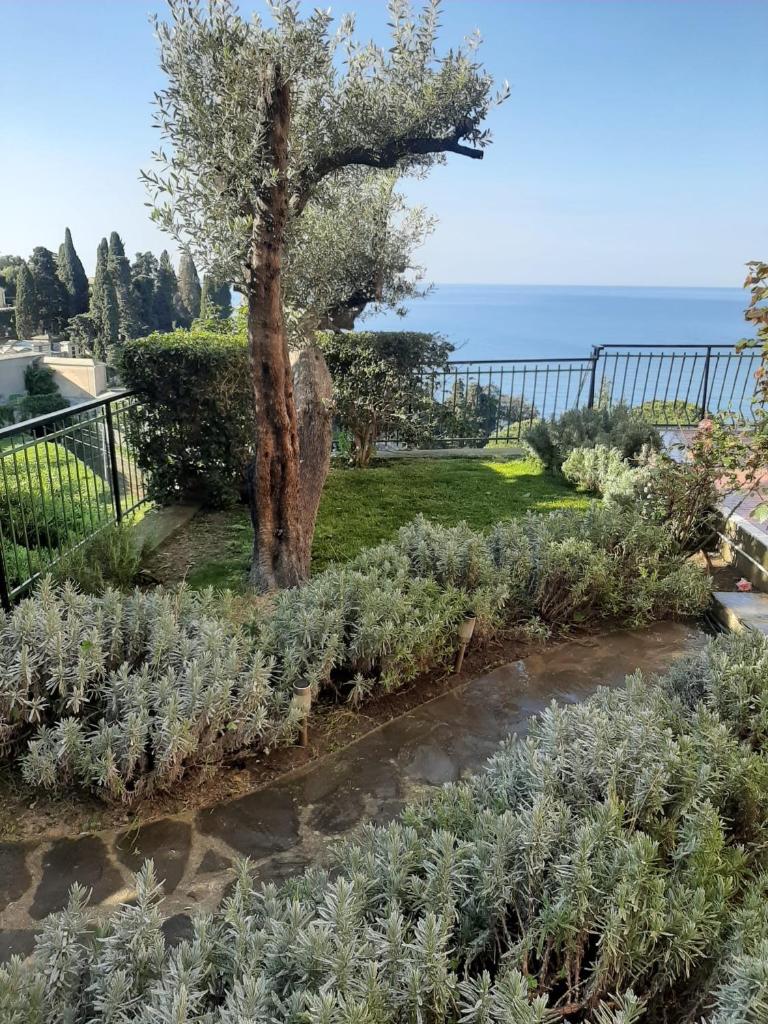 Casa Angelo photo 3