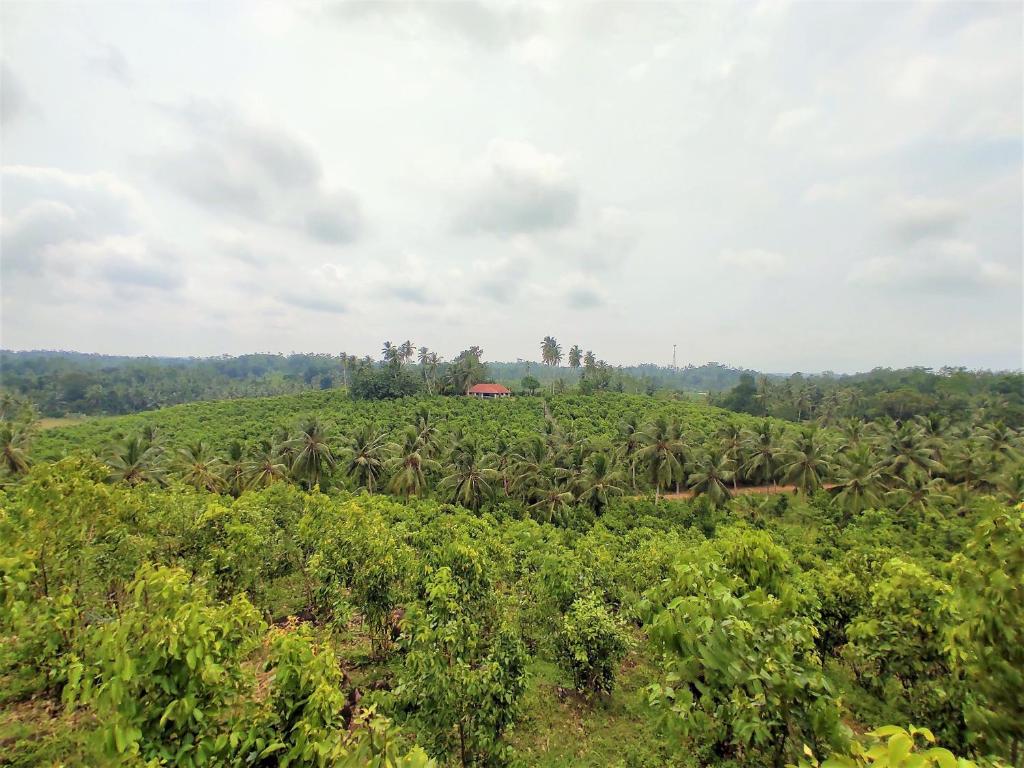 Aroma Woods photo 1