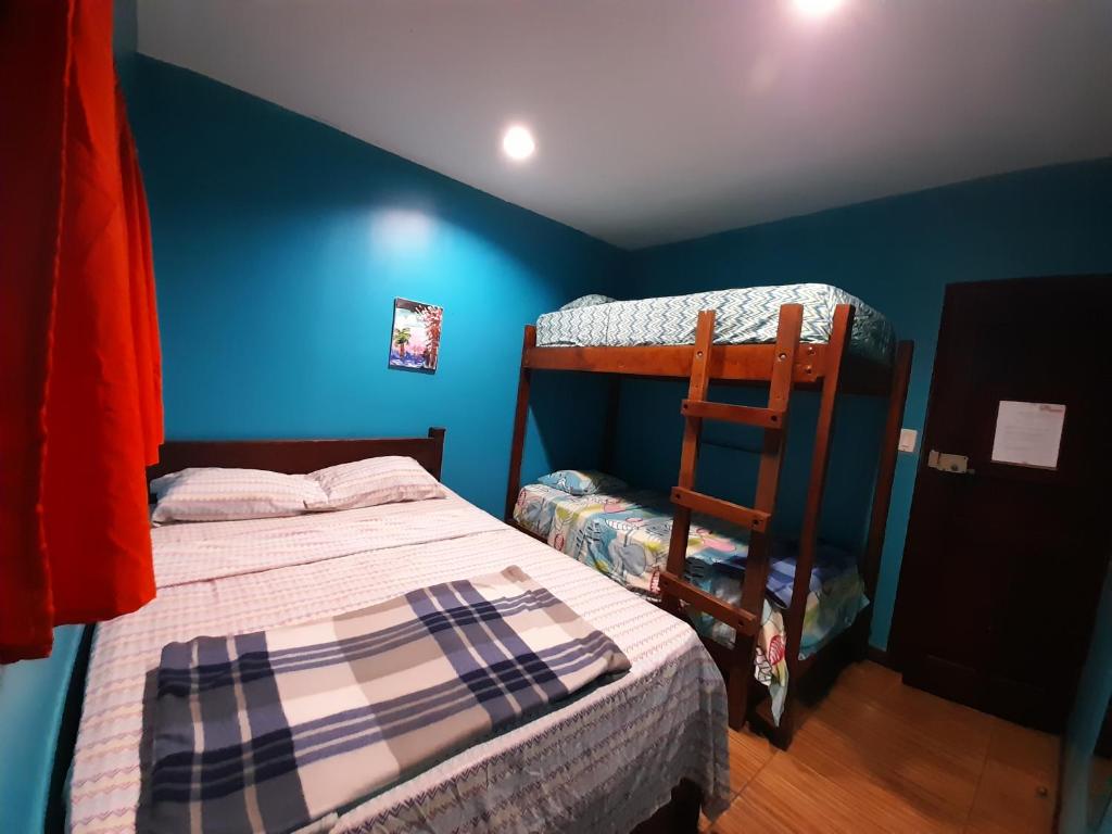 Coral Reef Surf Hostel and Camp photo 4