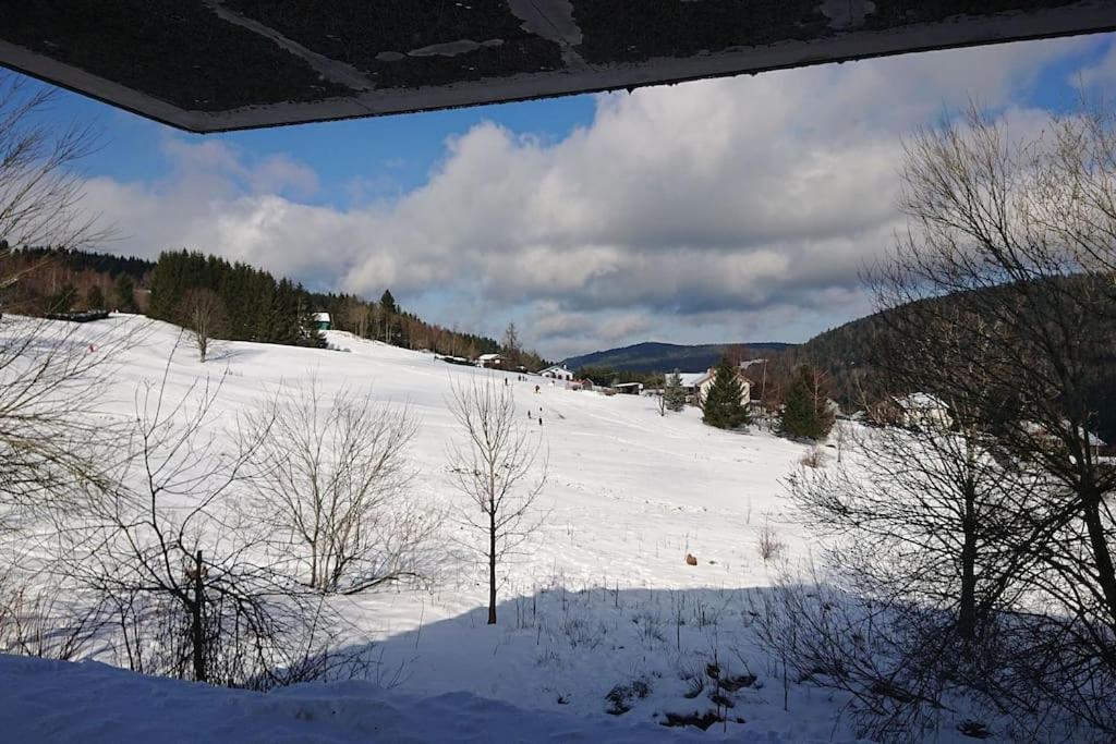 le Cozy du Poli photo 3