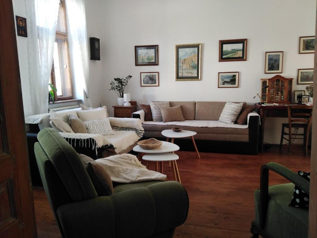 Šomin Lagum Vila photo 1