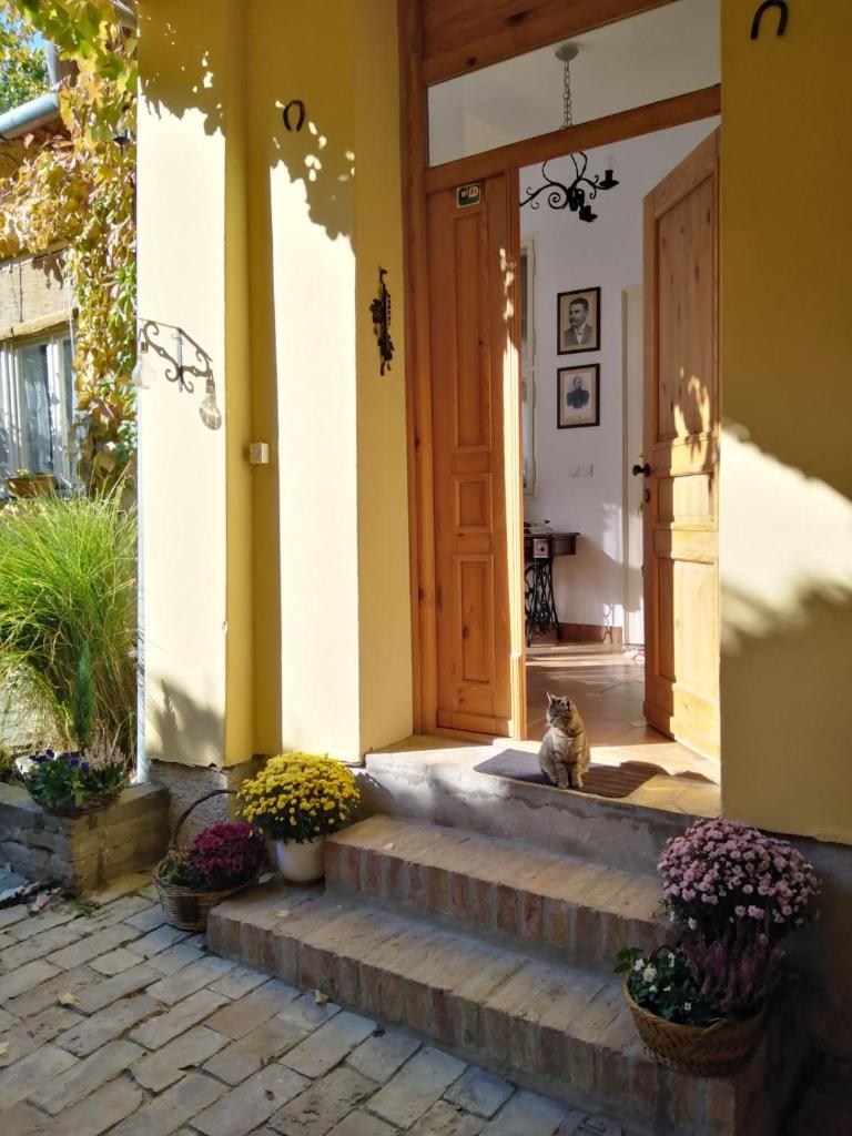 Šomin Lagum Vila photo 2