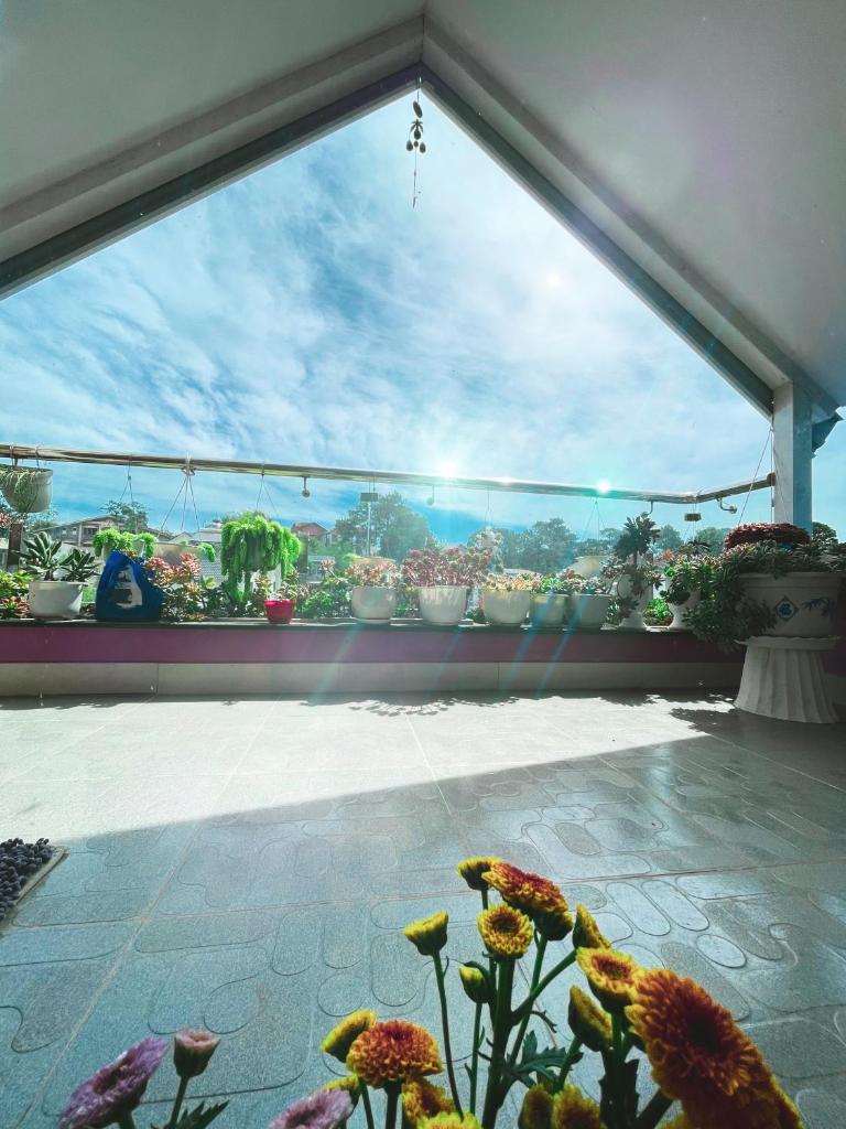 Selena Dalat Homestay