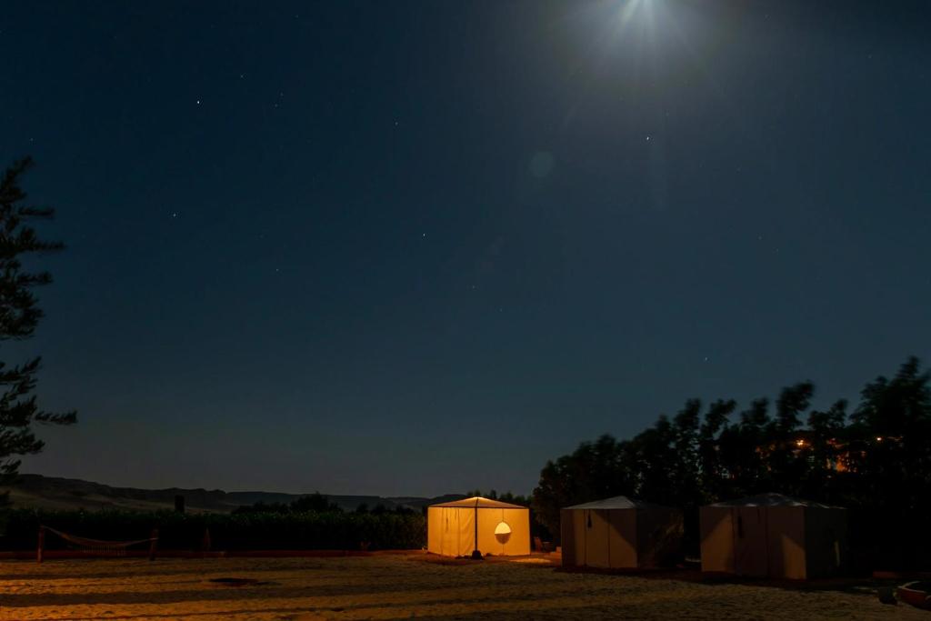 Mangrove Camp Fayoum photo 1