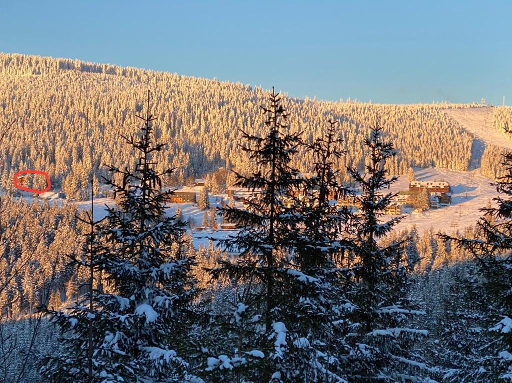Horní Mísečky - Špindlerův Mlýn photo 4