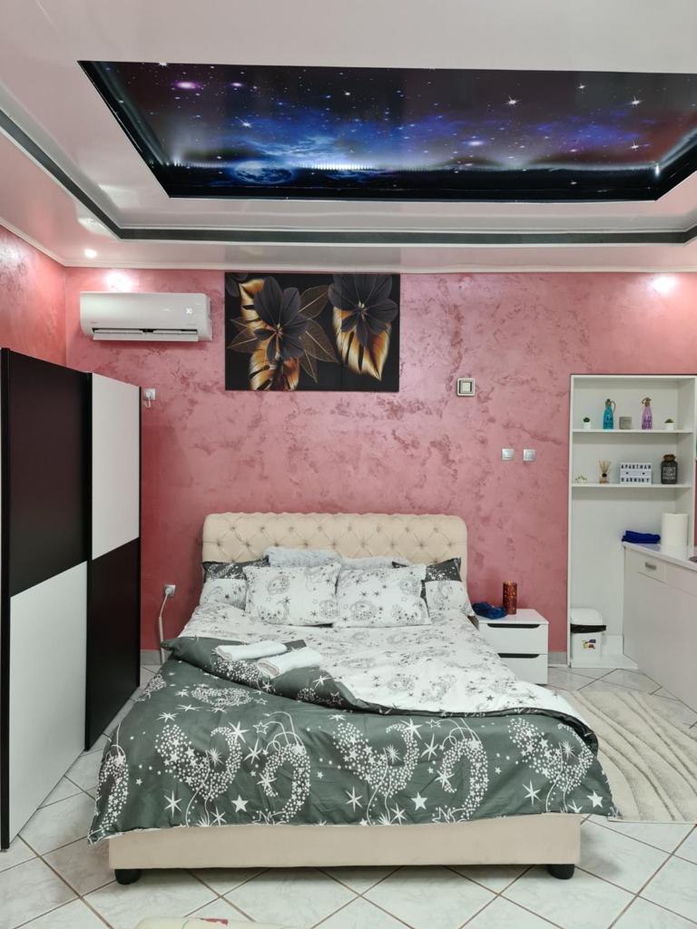 Apartman -HARMONY- photo 4