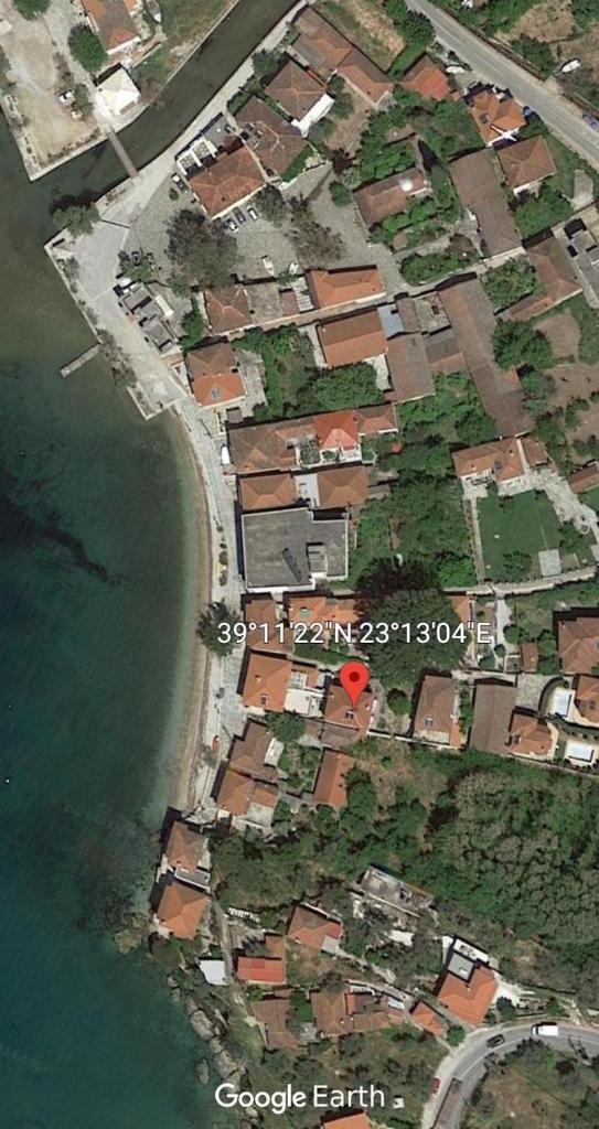 Epavli Sofia' s two Apartments in Horto, 30m from the sea photo 3