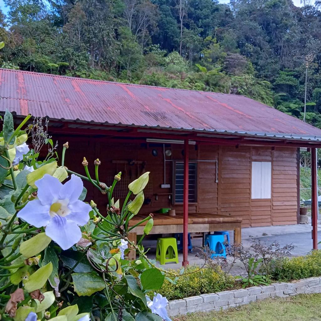 The Rustique Guest House photo 4