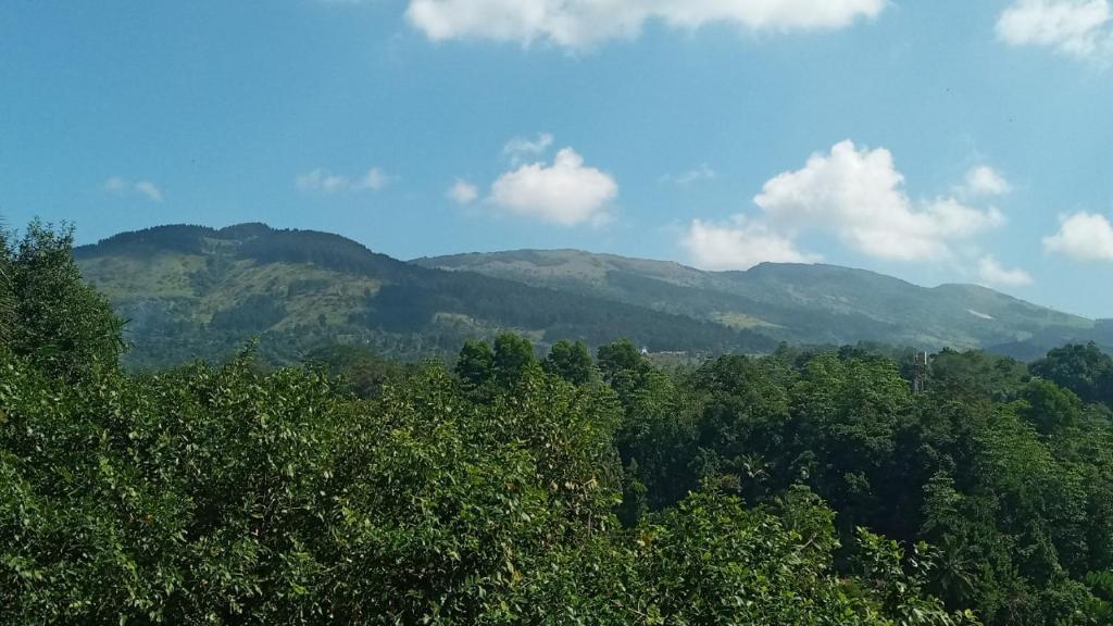 Galkotuwa Estate photo 4