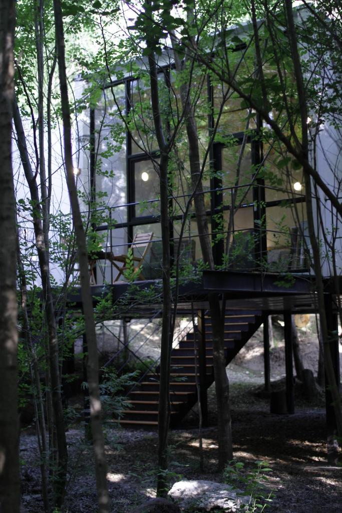 Ojalá Suites photo 2