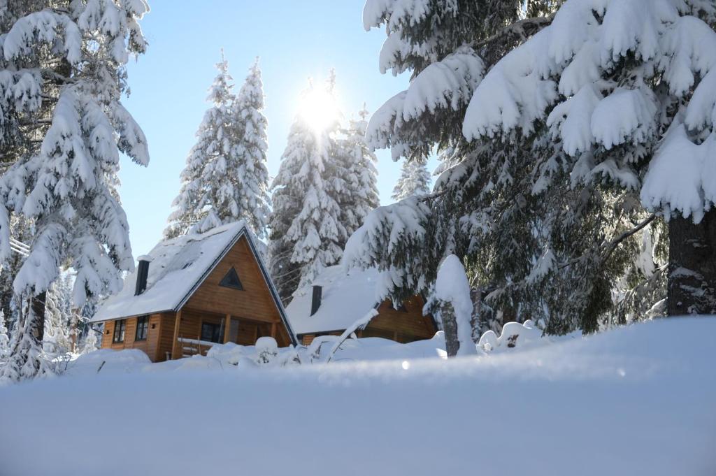 Gorske Vile Jahorina photo 2