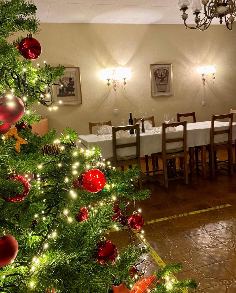 Thermalhotel Regina Terme photo 1