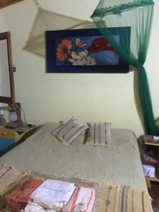El monte de los Abuelos photo 3