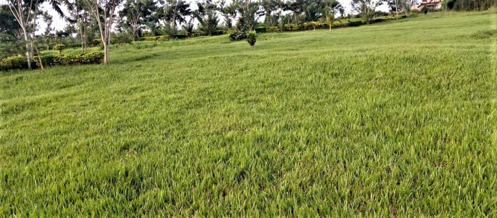 SUGIRA ECO-RESORT photo 3