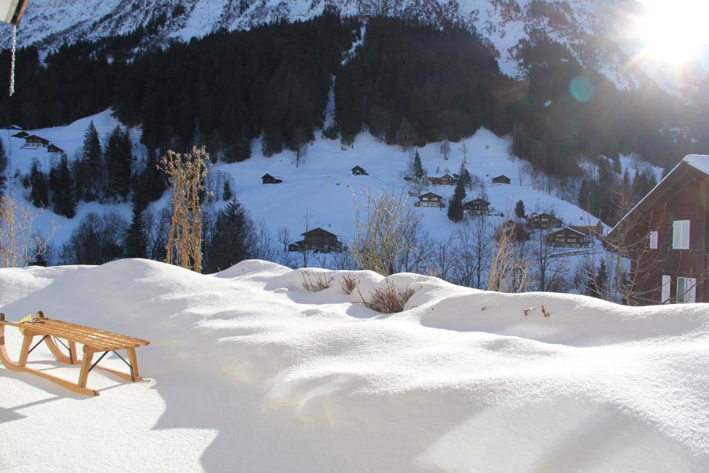 Chalet Pfingsteggblick photo 3