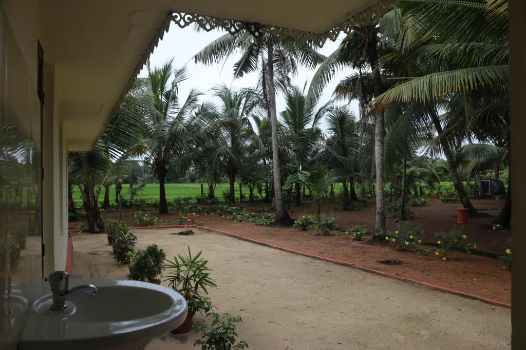 RìoCasa photo 4