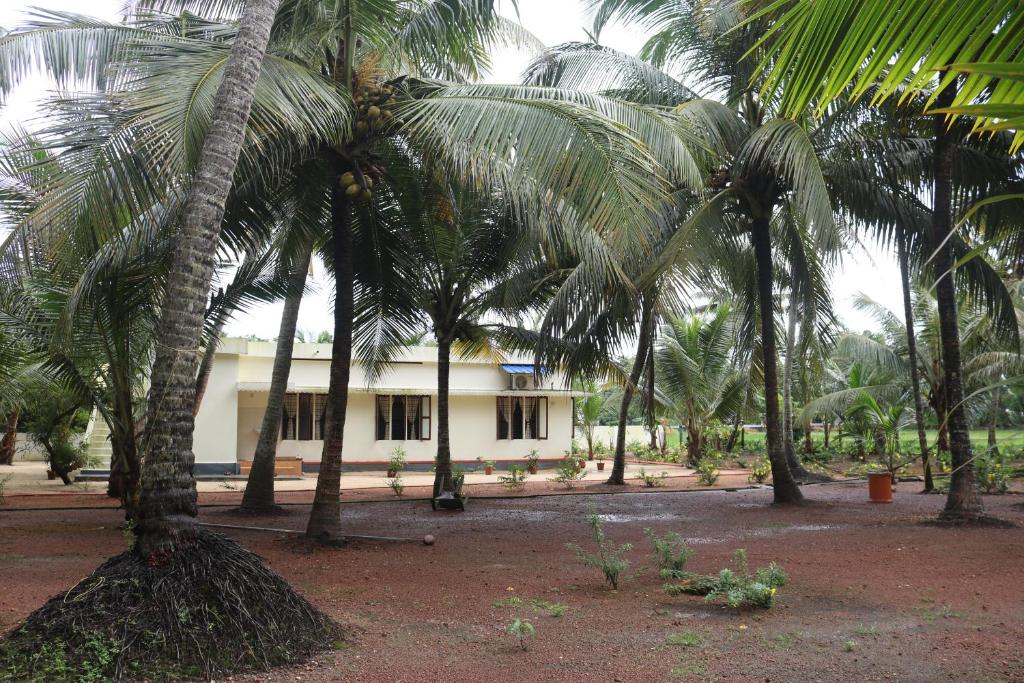 RìoCasa photo 1