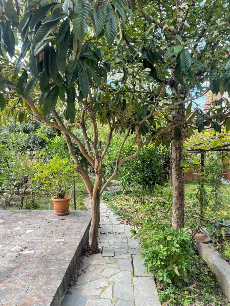 GARDENIE photo 3