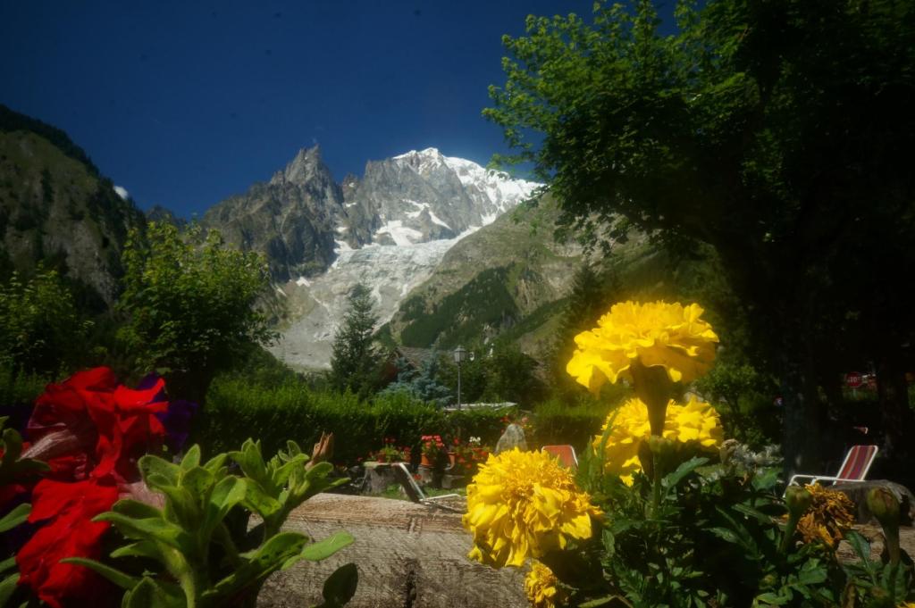 Hotel Aiguille Noire photo 4