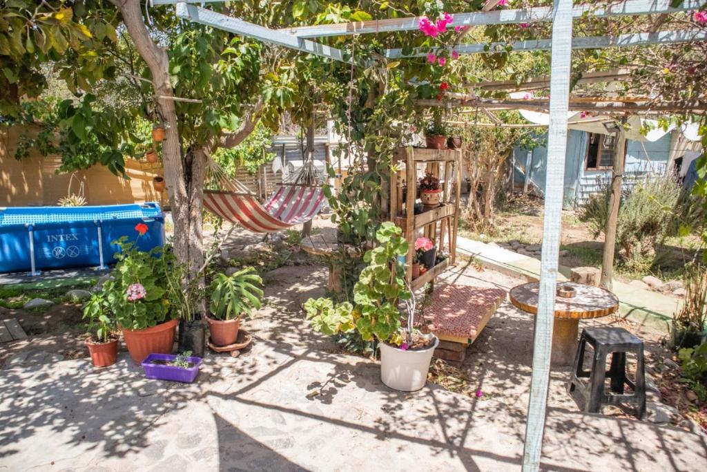 La Huerta photo 1